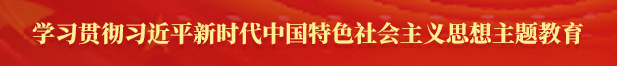 學(xué)習(xí)貫徹習(xí)近平新時(shí)代中國(guó)特色社會(huì)主義思想主題教育